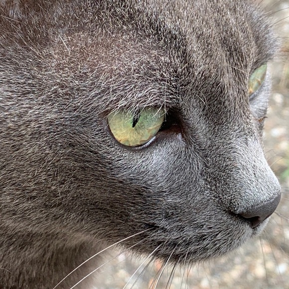 Meet your Posher, Nurit - Picture 1 of 1